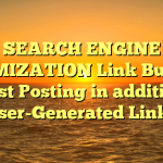 SEARCH ENGINE OPTIMIZATION Link Building : Guest Posting in addition to User-Generated Links