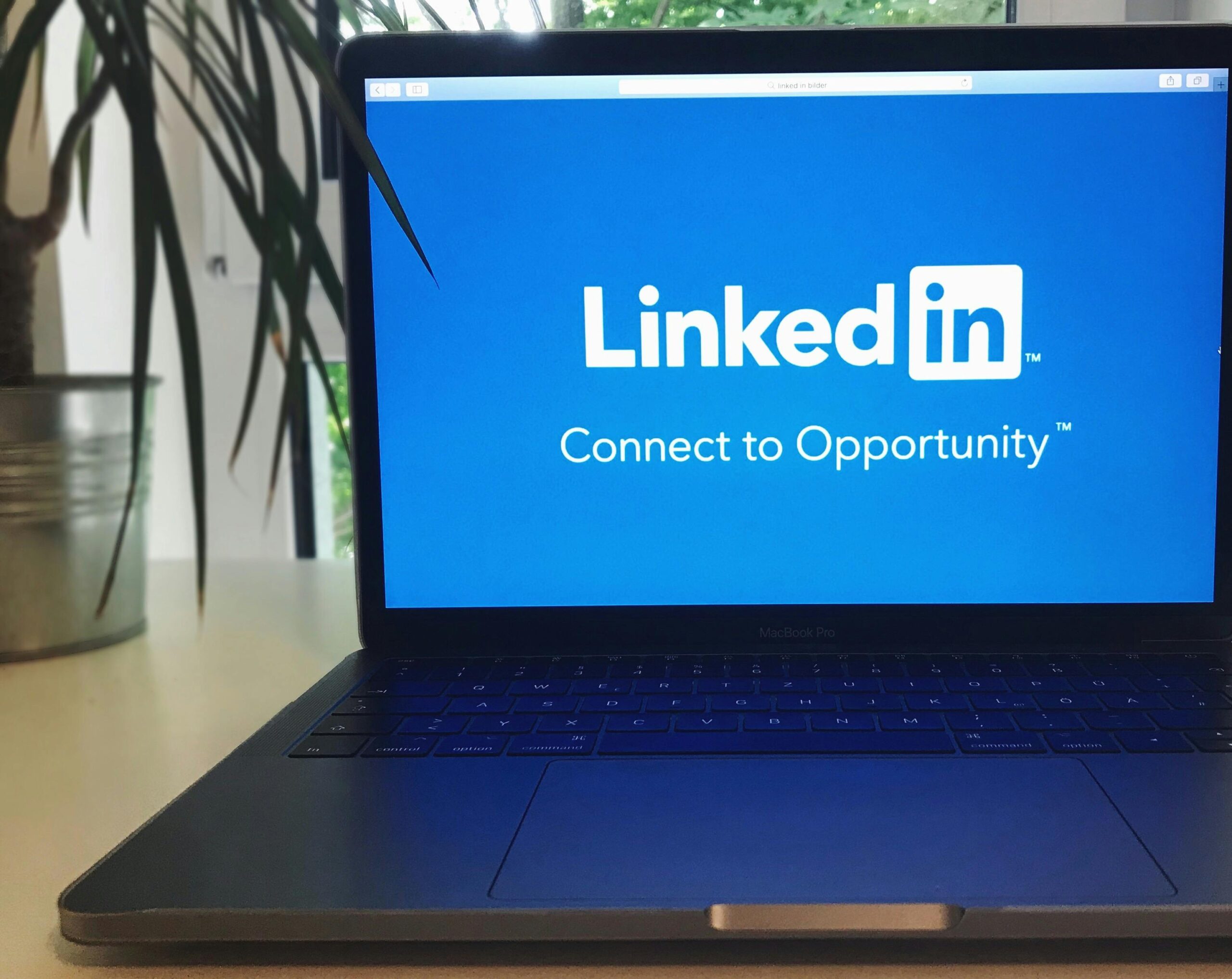 What You Need To Know About LinkedIn Advertising