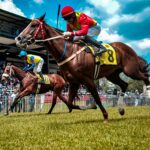 Why RedHotRaceTips Offers the Best Racing Tips