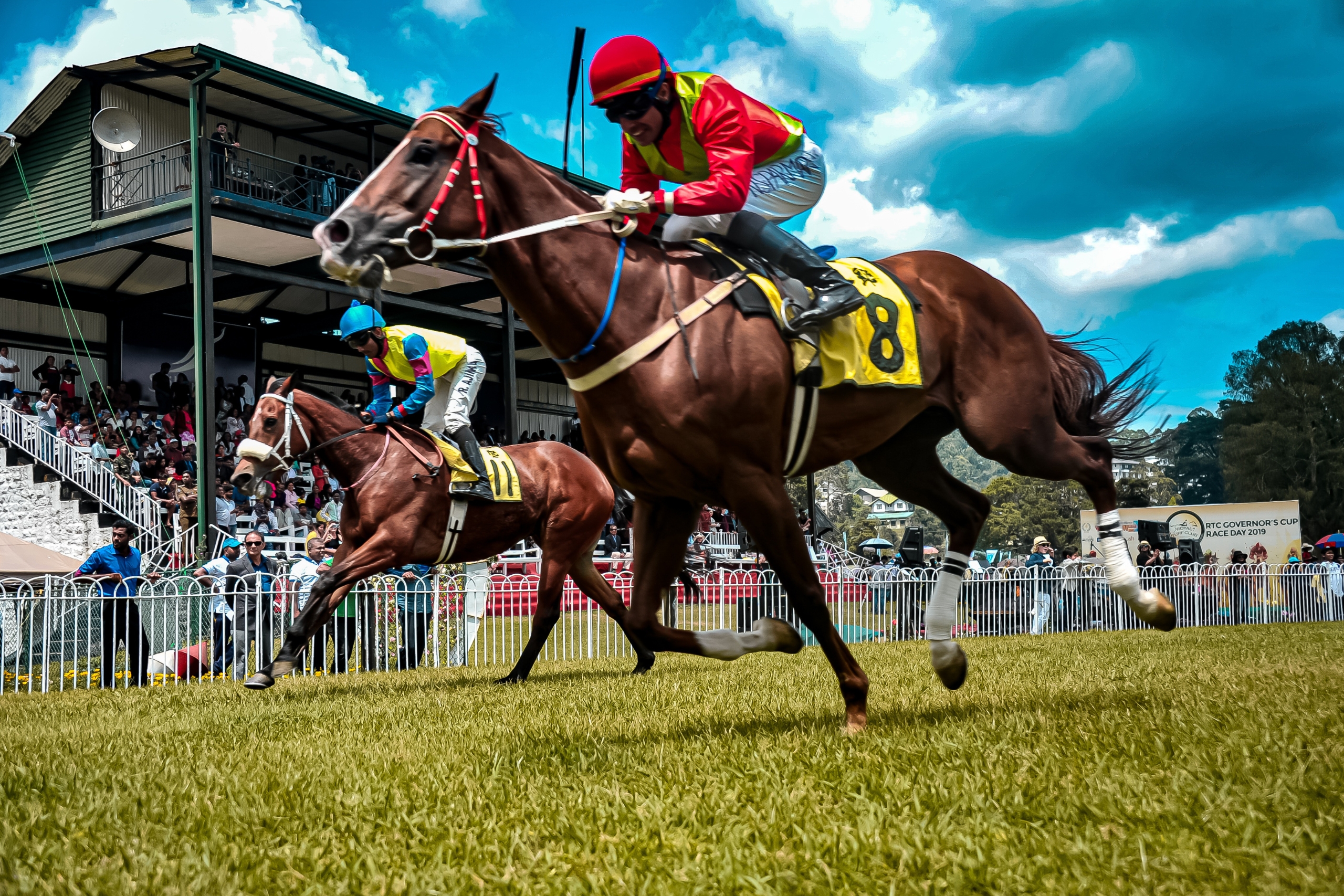 Why RedHotRaceTips Offers the Best Racing Tips