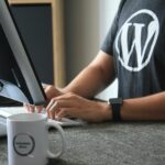 How To Find A Quality WordPress Developer