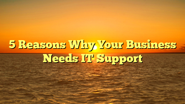 5 Reasons Why Your Business Needs IT Support