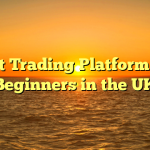 Best Trading Platform For Beginners in the UK