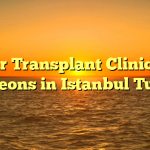 Hair Transplant Clinics & Surgeons in Istanbul Turkey