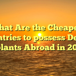 What Are the Cheapest Countries to possess Dental Implants Abroad in 2023?